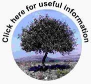 click-useful-small
