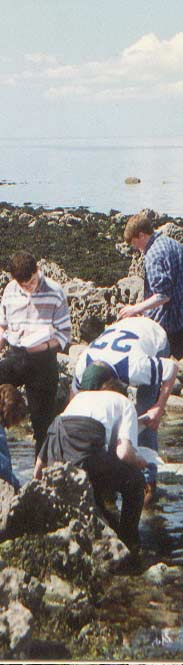 field-studies-ecology